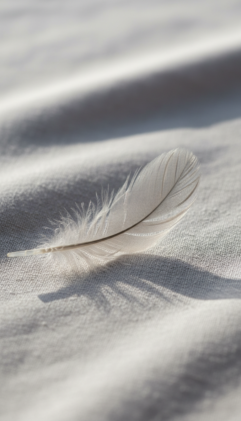 A solitary, translucent feather with fine, silvery veins lies on a muted, pale grey linen fabric with subtle creases, evoking gentle movement. The setting is minimalist and uncluttered, with no distractions, allowing the softness of the feather and the refined textures of the linen to be the focal point. Soft morning light filters in from a window just out of frame, creating a gradient of brightness across the fabric, casting a delicate, elongated shadow of the feather. The atmosphere is peaceful and introspective. Captured at eye-level with a shallow depth of field, the composition highlights the simplicity and quiet grace in the details, matching the site's sophisticated and photographic minimalist aesthetic.